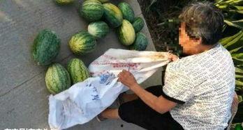 吃瓜最新事件爆料兰陵,吃瓜群众揭秘最新事件内幕